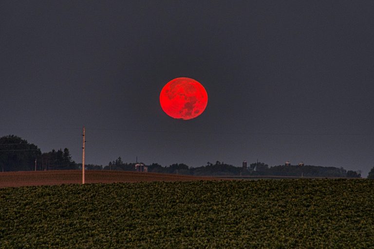 The Power of the Full Moon The 2025 Harvest and Supermoons 🌕