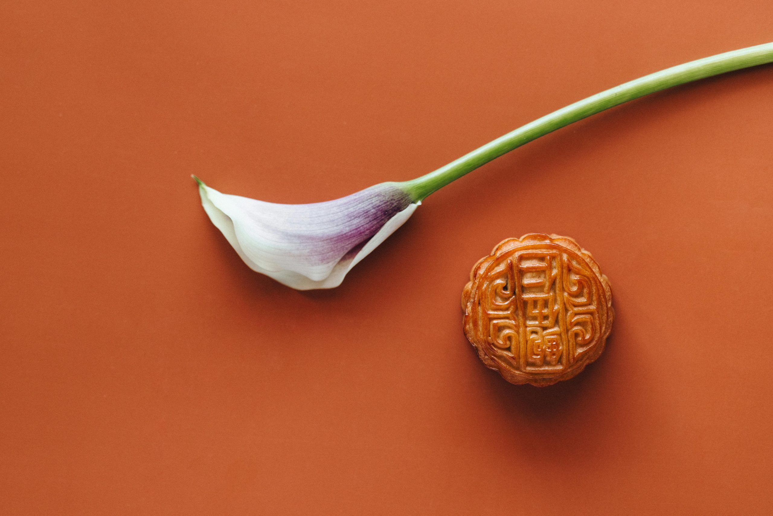 The Spirit of the Mid-Autumn Festival – Light, Family, and Harmony 🌕