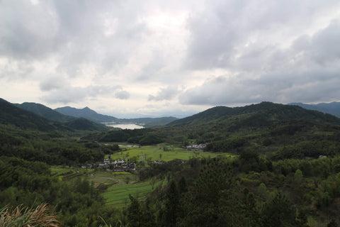 paysage-foret-hongcun-anhui