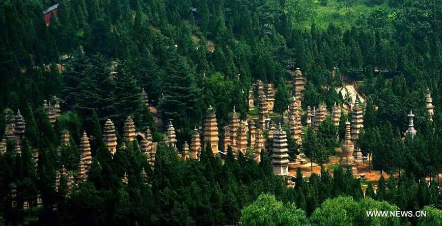 foret-pagodes-temple-shaolin