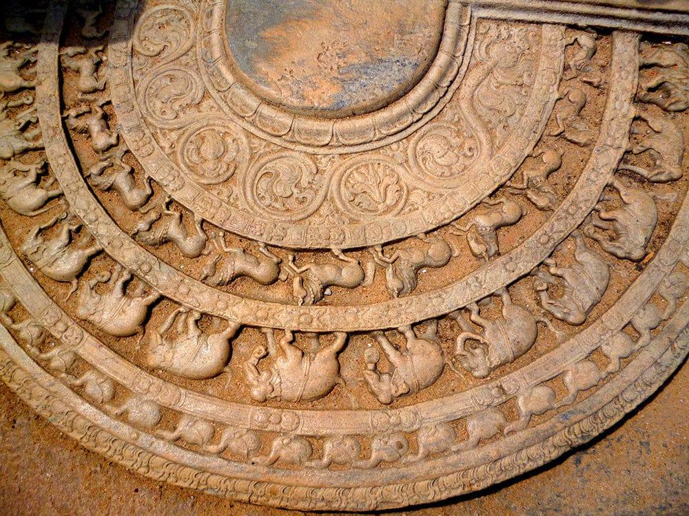 Frises au sri lanka