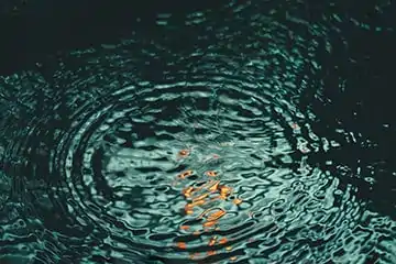 Purification par l'eau