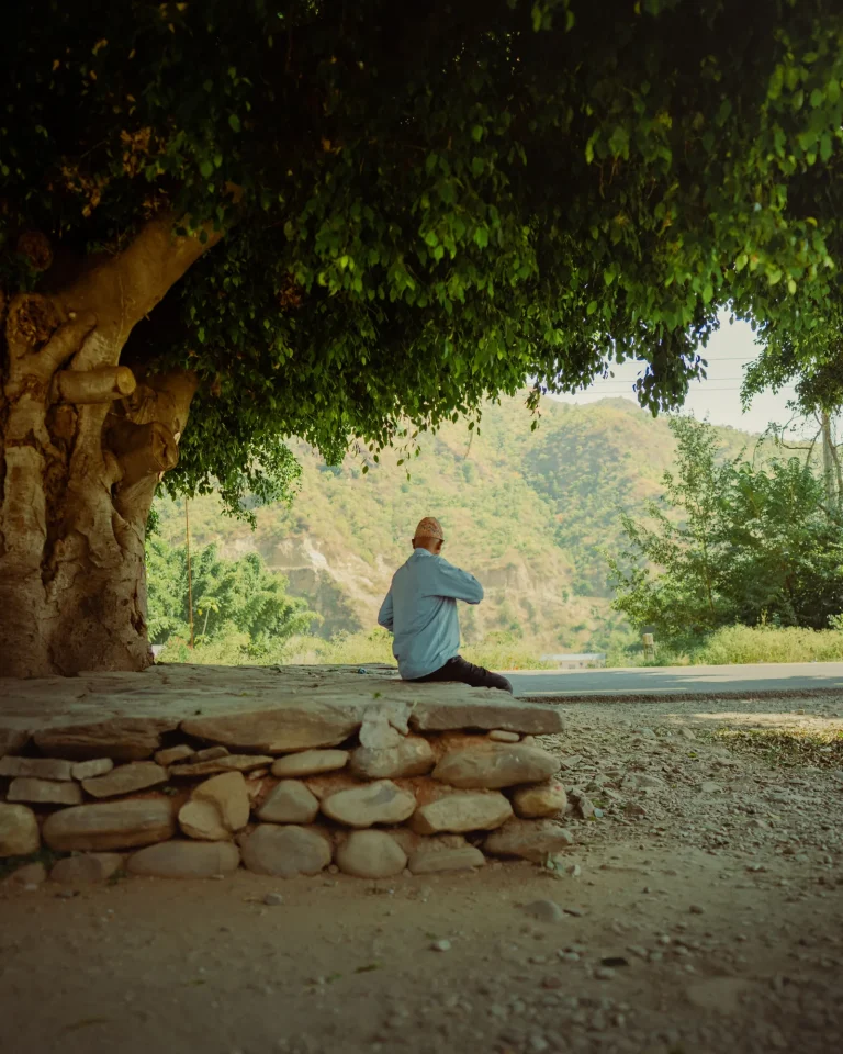 Person in seated meditation under a large tree — outdoor nature meditation practice