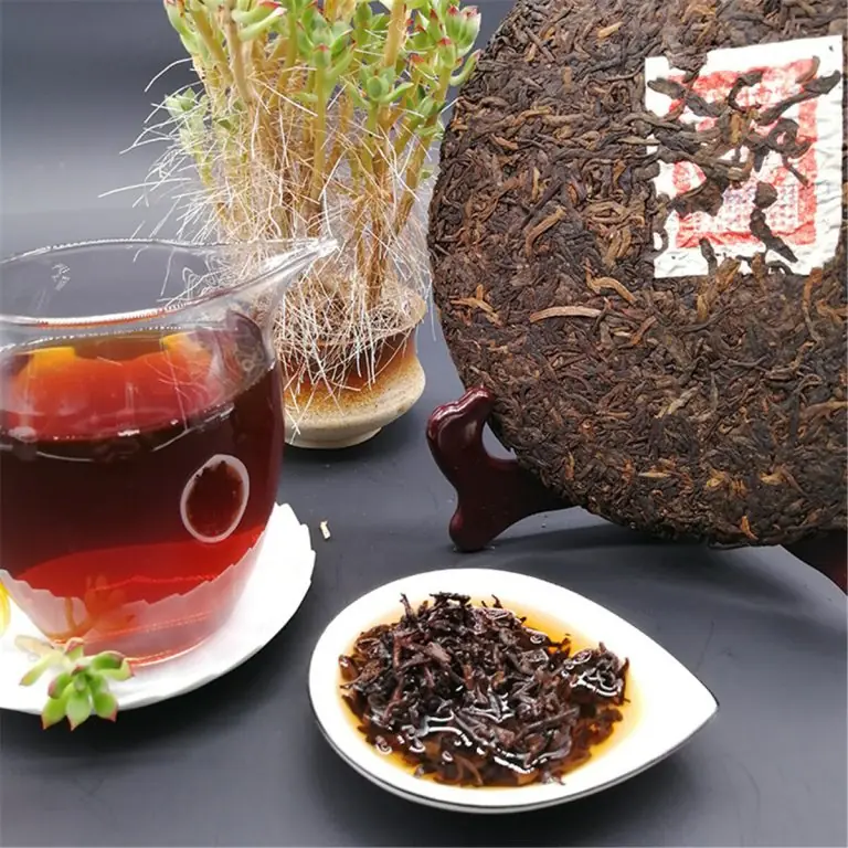 Galette de pu-erh, theiere en verre, tasse de liqueur rouge et plante succulente
